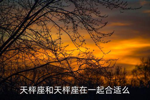 天枰座和天枰座在一起合適么