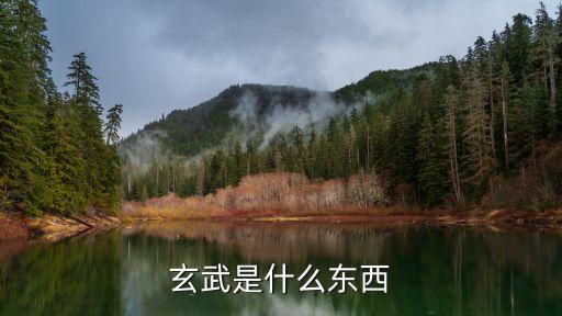 玄武是什么東西