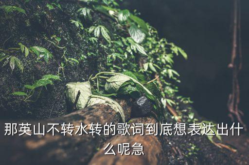 那英山不轉水轉的歌詞到底想表達出什么呢急