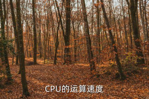 CPU的運算速度