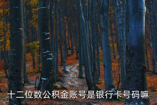 十二位數公積金賬號是銀行卡號碼嘛