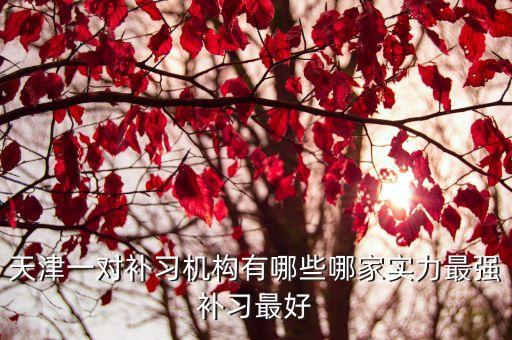 天津一對補習機構有哪些哪家實力最強補習最好