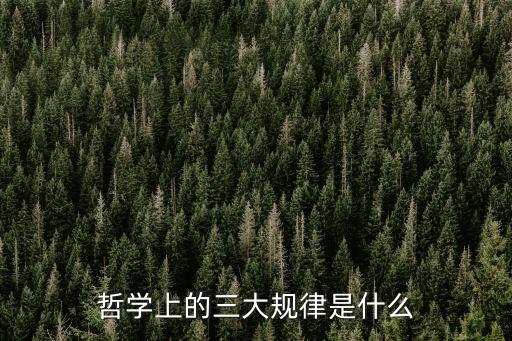 哲學(xué)上的三大規(guī)律是什么