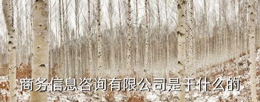 商務(wù)信息咨詢(xún)有限公司是干什么的