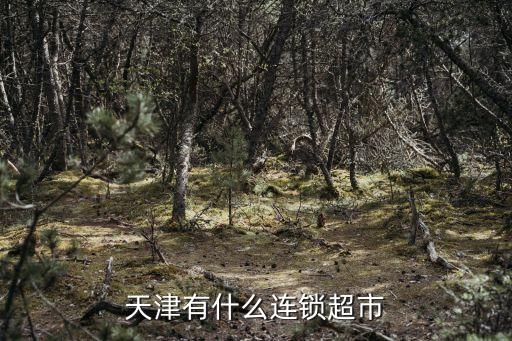 天津市北辰區連鎖超市，天津北辰區大超市