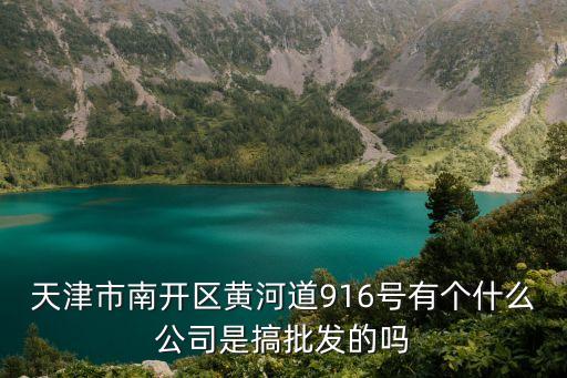天津市南開區黃河道916號有個什么公司是搞批發的嗎