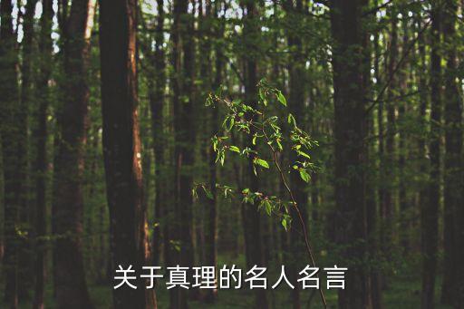 真理名言，描寫真理的名言
