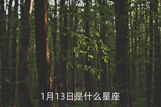 1月13日是什么星座，1月13日是什么星座