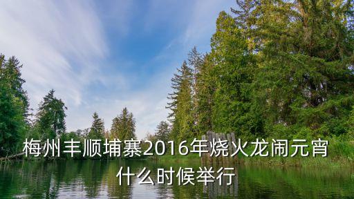 梅州豐順埔寨2016年燒火龍鬧元宵什么時候舉行