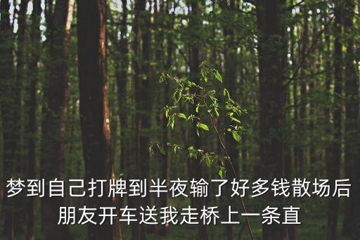 夢到自己打牌到半夜輸了好多錢散場后朋友開車送我走橋上一條直