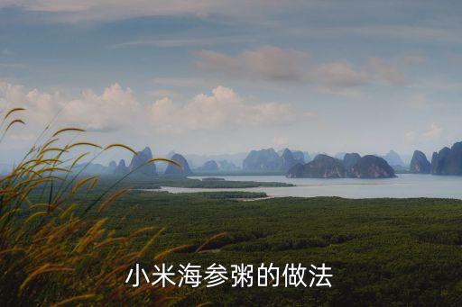 小米海參粥的做法，海參小米粥怎么做