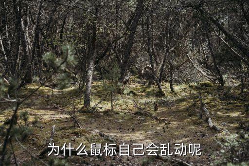 鼠標自己亂動是怎么回事，為什么我鼠標亂動