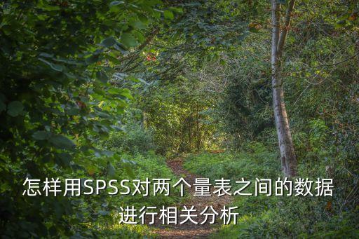 怎樣用SPSS對兩個量表之間的數據進行相關分析