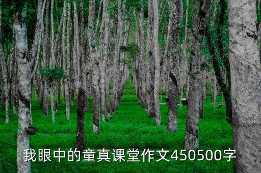 我眼中的童真課堂作文450500字