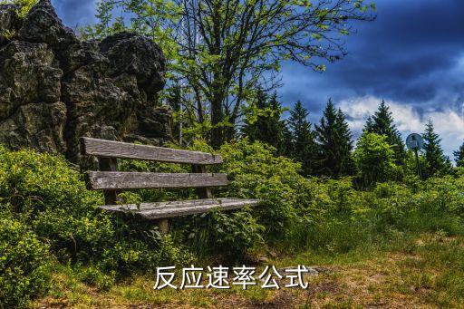 反應(yīng)速率公式，反應(yīng)速率公式