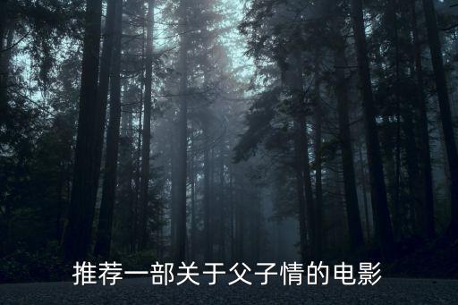推薦一部關(guān)于父子情的電影