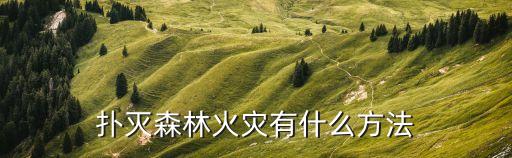 森林火災撲救，森林大火怎么撲滅