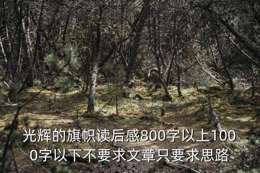 光輝的旗幟，光輝的旗幟什么意思我想繪畫該怎么畫