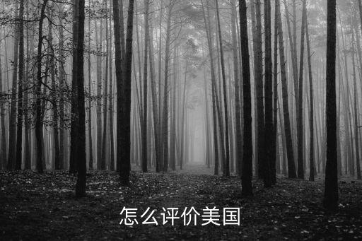 怎么評(píng)價(jià)美國(guó)