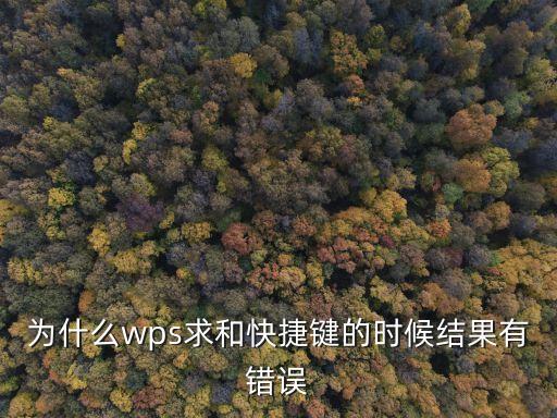 為什么wps求和快捷鍵的時候結果有錯誤