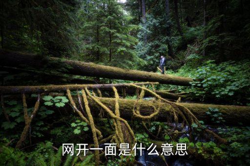 網開一面是什么意思