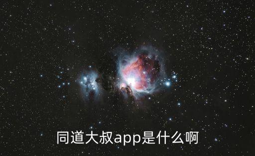 同道大叔app是什么啊