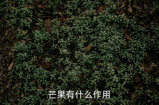 芒果有什么作用