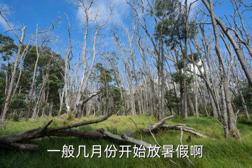 一般幾月份開始放暑假啊