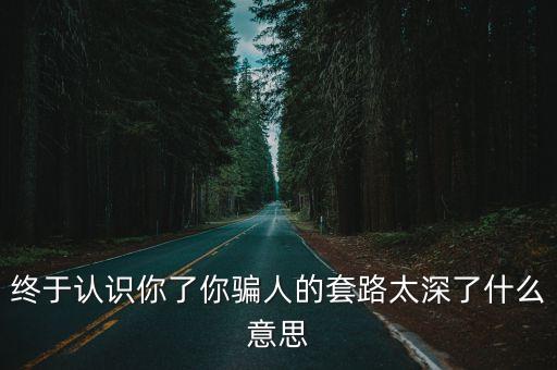 終于認(rèn)識(shí)你了你騙人的套路太深了什么意思
