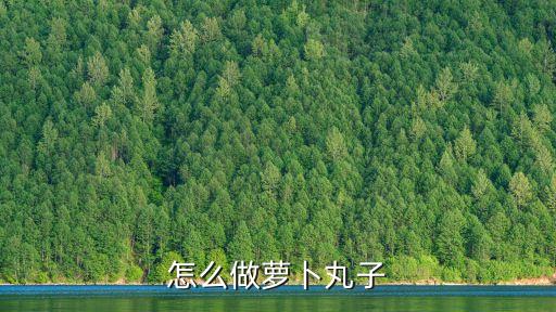 蘿卜丸子怎么做好吃，誰知道蘿卜丸子怎么做
