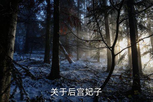 關于后宮妃子