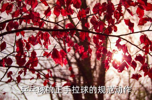 乒乓球拉球，乒乓球怎么練習拉球