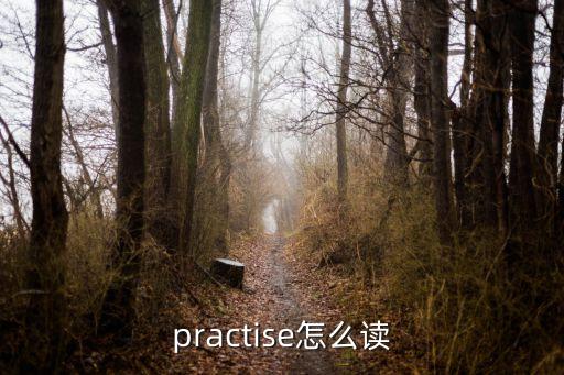 practise怎么讀