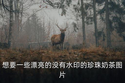 最漂亮茶水圖片，有誰收藏有關于茶的圖片