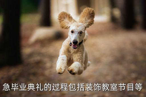 急畢業典禮的過程包括裝飾教室節目等