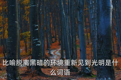 比喻脫離黑暗的環境重新見到光明是什么詞語