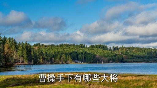 曹操手下有哪些大將