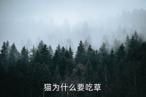 貓為什么吃草，貓咪為什么會吃草