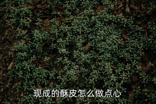 現成的酥皮怎么做點心