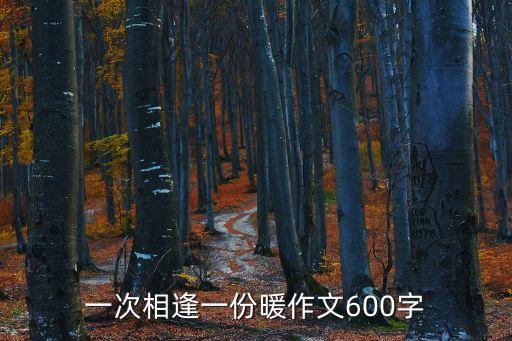 一次相逢一份暖作文600字