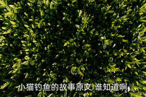 小貓釣魚的故事原文 誰知道啊