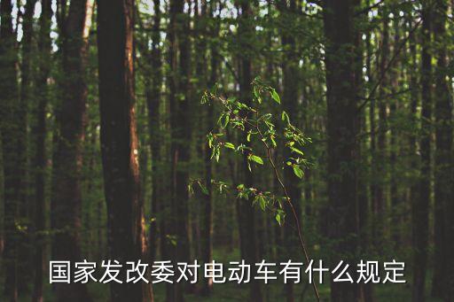國家發(fā)改委對電動車有什么規(guī)定