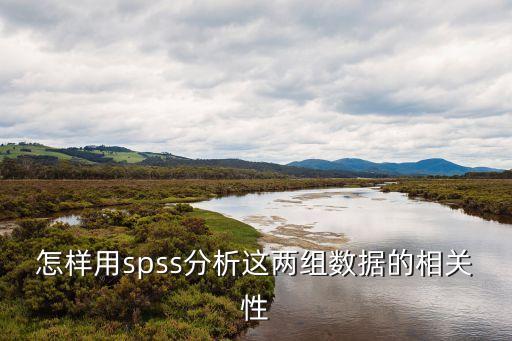 怎樣用spss分析這兩組數據的相關性