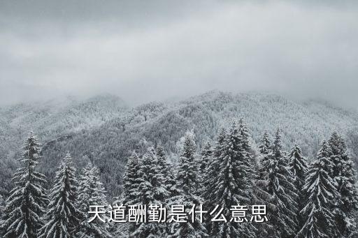 天道酬勤是什么意思
