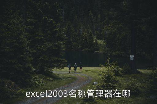 excel2003名稱管理器在哪