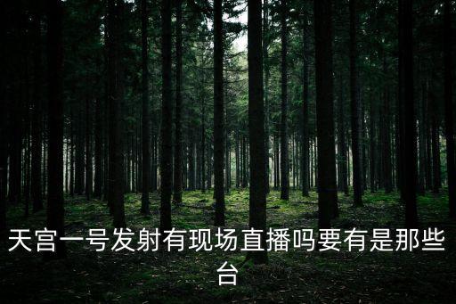 天宮一號發射有現場直播嗎要有是那些臺