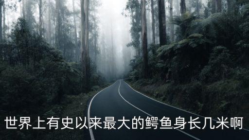 世界上有史以來最大的鱷魚身長幾米啊