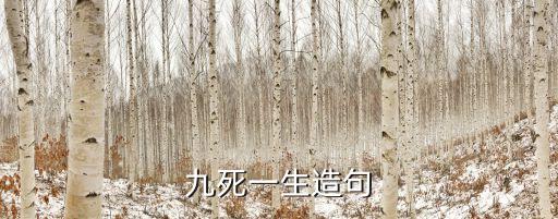 九死一生造句