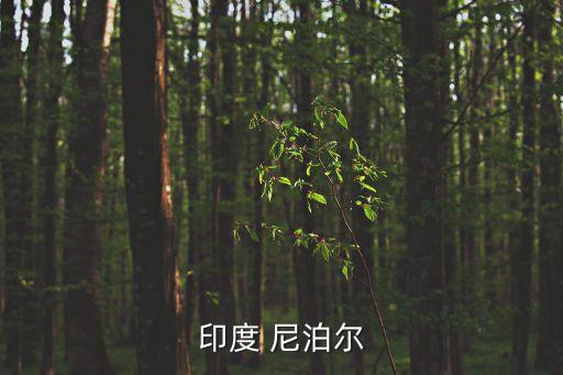 印度 尼泊爾