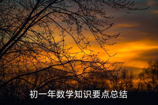初一年數學知識要點總結